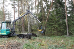 Alajarvi_energiapuu_001_139