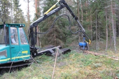 Alajarvi_energiapuu_038_144